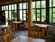 Zlatibor apartmani